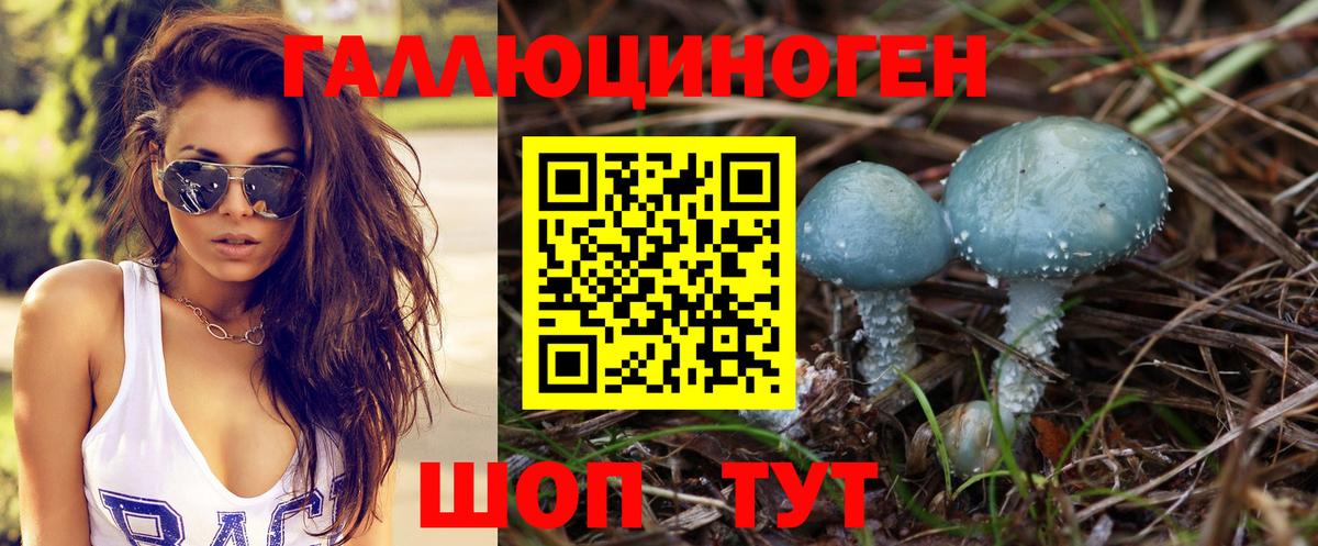 Кимовск  Псилоцибиновые грибы мицелий  Вход с VPN 